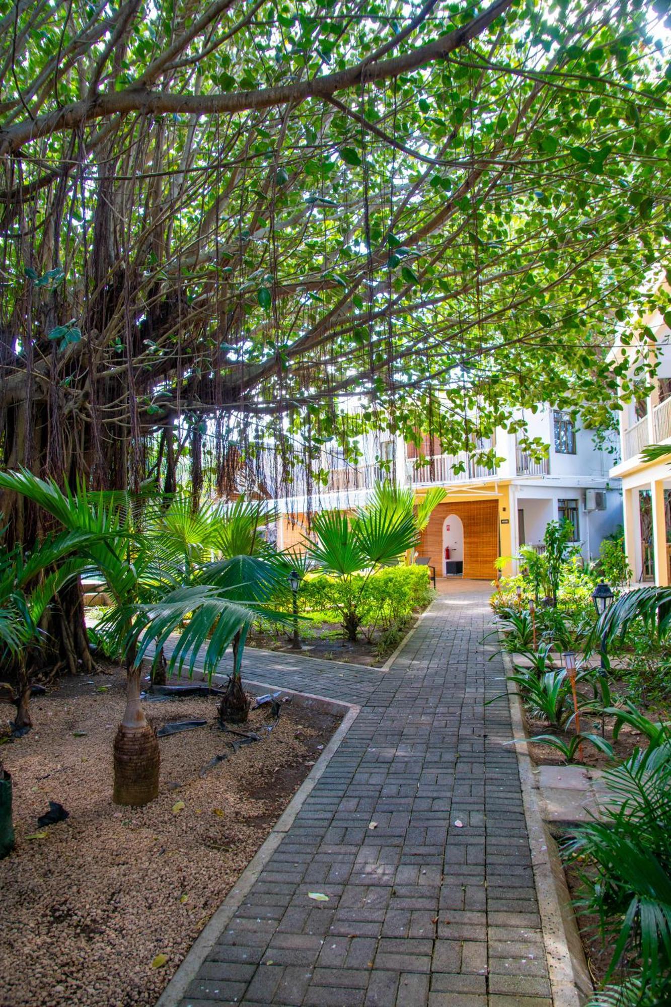 The Garden Lodge Pereybere - Piscine & Jardin Pereybere Beach Exterior photo